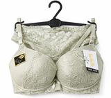 Wildwhisper Sage Lace Padded Bra & Panty Set